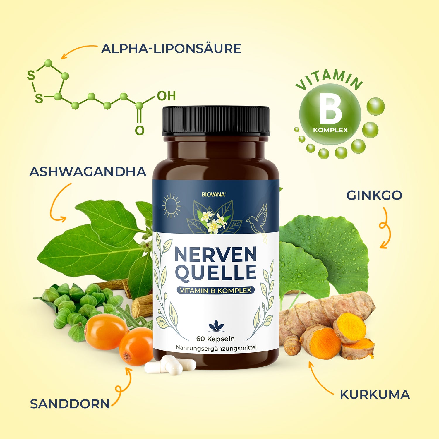 BIOVANA Nervenquelle - Vitamin B Komplex